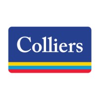 Partner 3